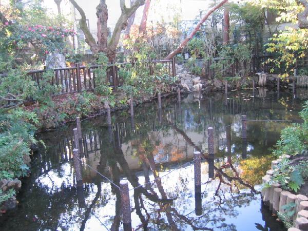 世田谷区深沢６丁目　中古戸建　限定1棟 公園