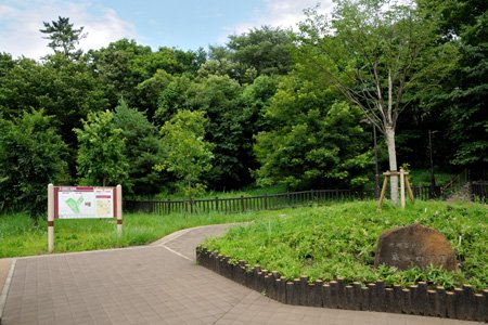 世田谷区喜多見６丁目　中古戸建　限定1棟 公園