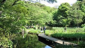 ニューフジマンション 公園