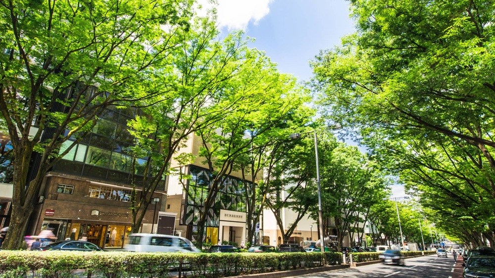 Ｋｉｓｔ原宿 その他