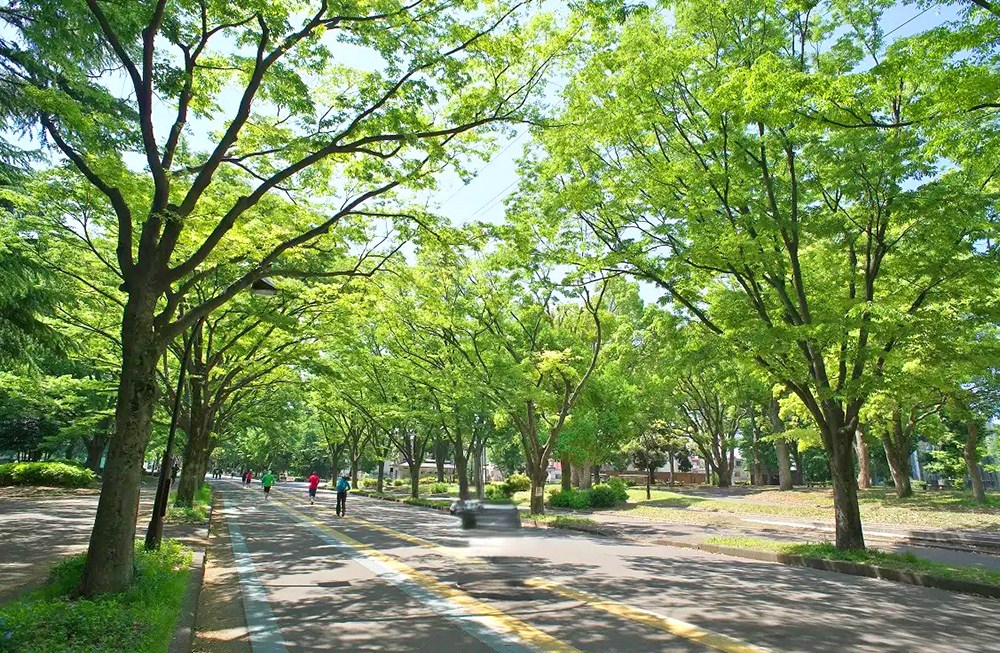 メイツ桜新町 その他