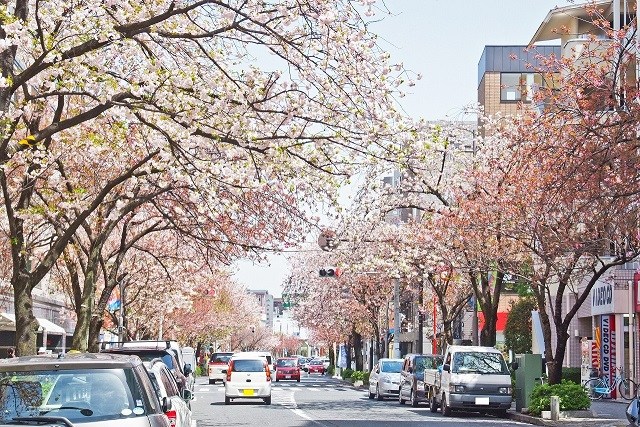 メイツ桜新町 その他