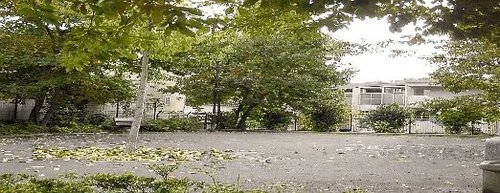 杉並区善福寺４丁目　新築戸建　限定1棟 公園