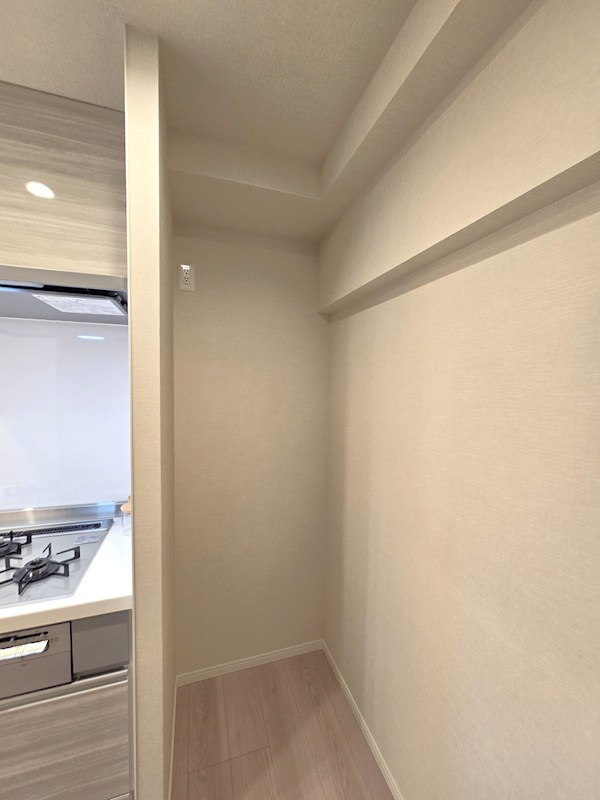 ミニカムマンション 内観写真（収納）