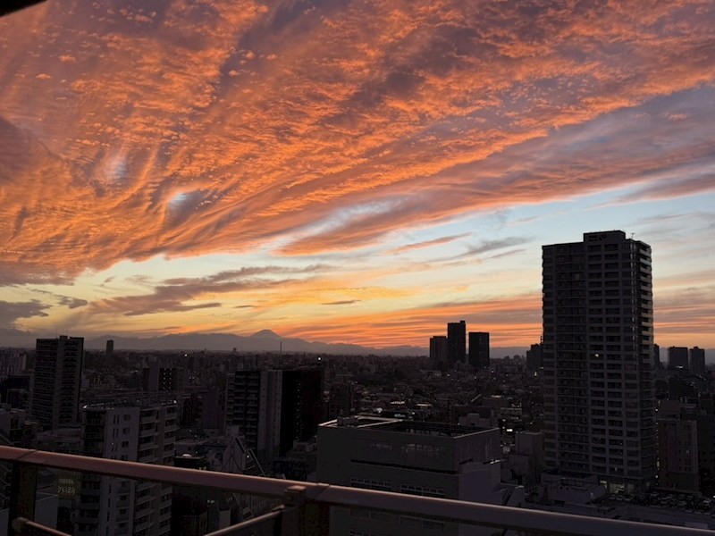 パークタワー東中野グランドエア 眺望写真