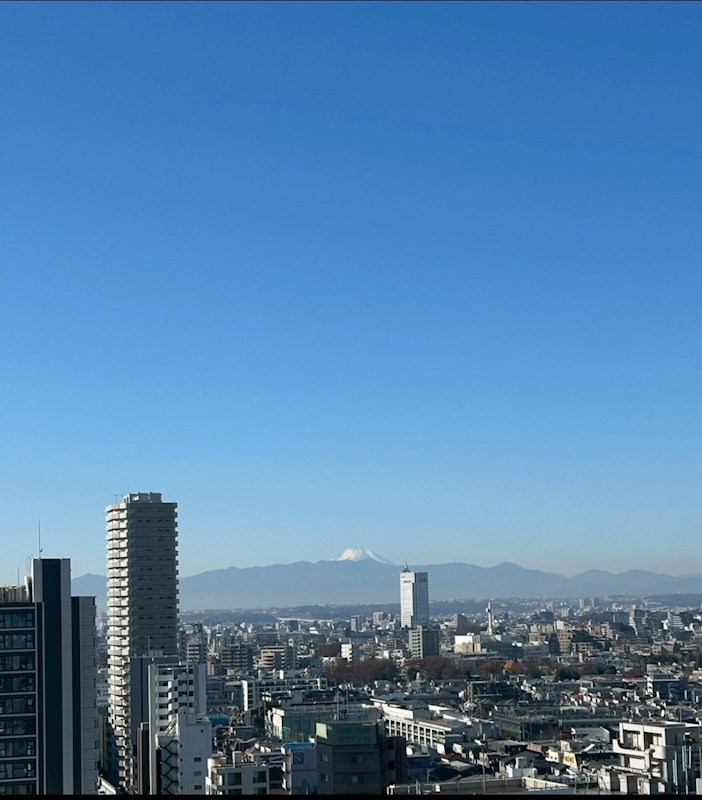 ヴィルブーブタワー駒沢 眺望写真