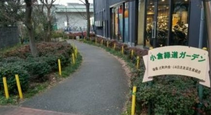 川崎市幸区小倉５丁目　新築戸建　1号棟 公園