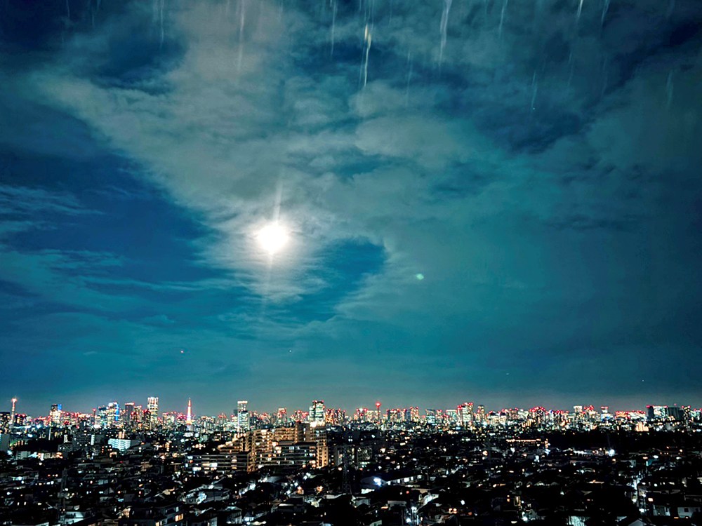 グラーサ駒沢大学 眺望写真