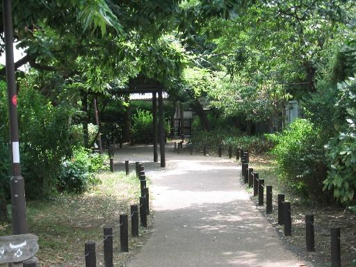 世田谷区梅丘２丁目　新築戸建　1号棟 公園