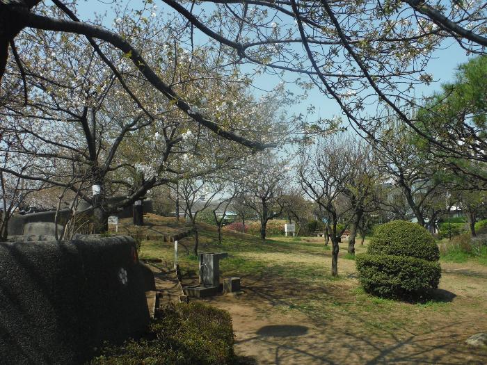 グランイーグルパークサイド大森南 公園