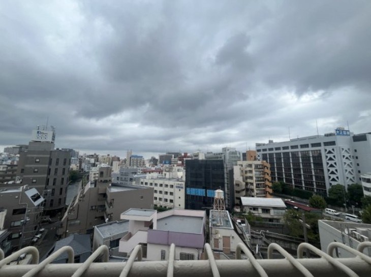 メゾンドール高田馬場 眺望写真