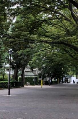 上用賀スカイマンション 公園