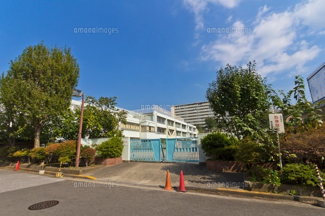新宿第三アルプスマンション 小学校