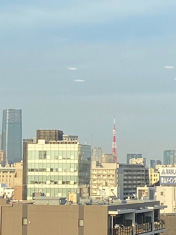 シティハウス目黒ザ・ツイン　ＳＯＵＴＨ棟 眺望写真