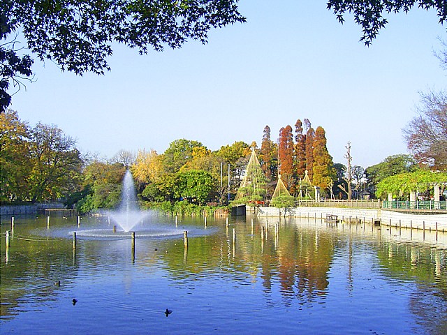 フォルス学芸大学ラクシーズ その他