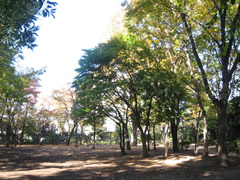 フォルス学芸大学ラクシーズ 公園
