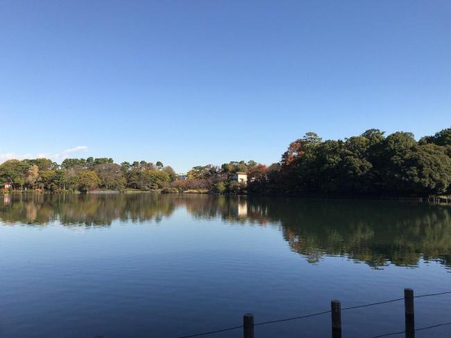 北千束スカイマンション 公園