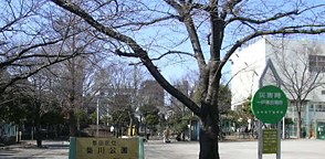 ヴェラハイツ錦糸町 公園