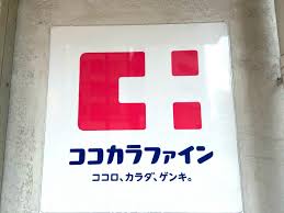 リビオ清澄白河 ドラッグストア