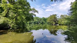 ソフトタウン石神井台 公園