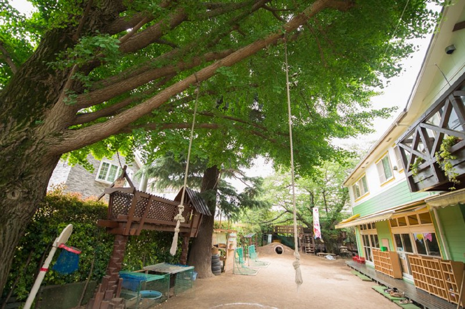 ソフトタウン石神井台 幼稚園