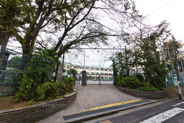 中野区沼袋２丁目　新築戸建　A号棟  小学校