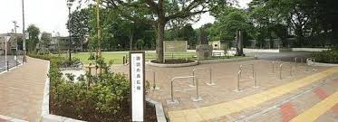 立川サニーハイツ 公園