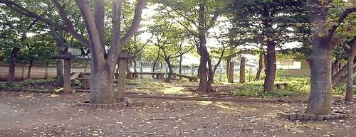 中野区上鷺宮５丁目　売地　限定1区画 公園