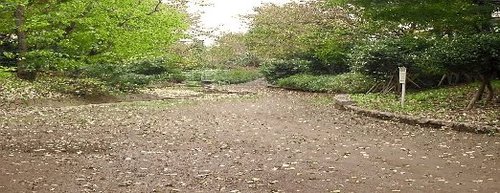 世田谷区松原４丁目　売地　限定1区画 公園