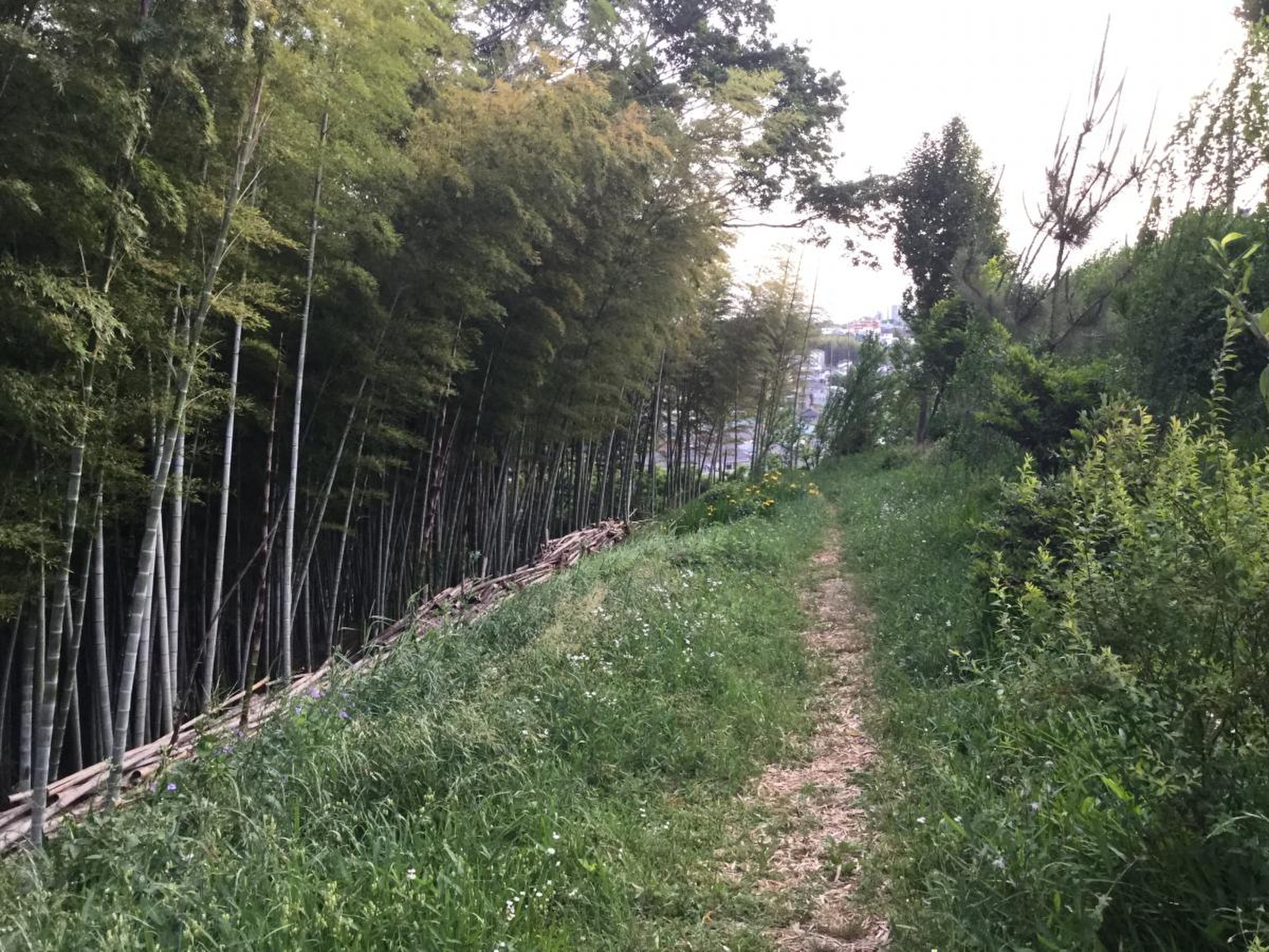 川崎市高津区東野川１丁目　中古戸建　限定1棟 公園