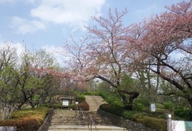 ライオンズマンション豪徳寺第２ 公園