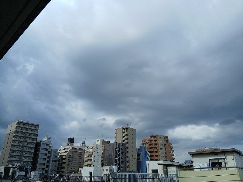 ダイナシティ文京根津 眺望写真