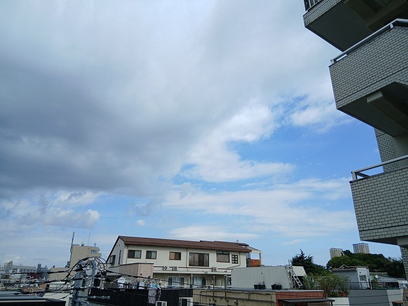 ダイナシティ文京根津 眺望写真