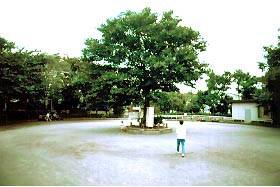 イトーピア目白カレン 公園