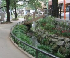 世田谷区梅丘３丁目　新築戸建　全1棟 公園