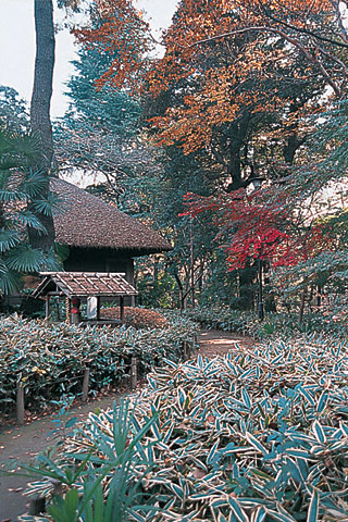 東京テラスＪ棟 公園