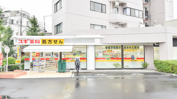 エクレールガーデン深沢 ドラッグストア