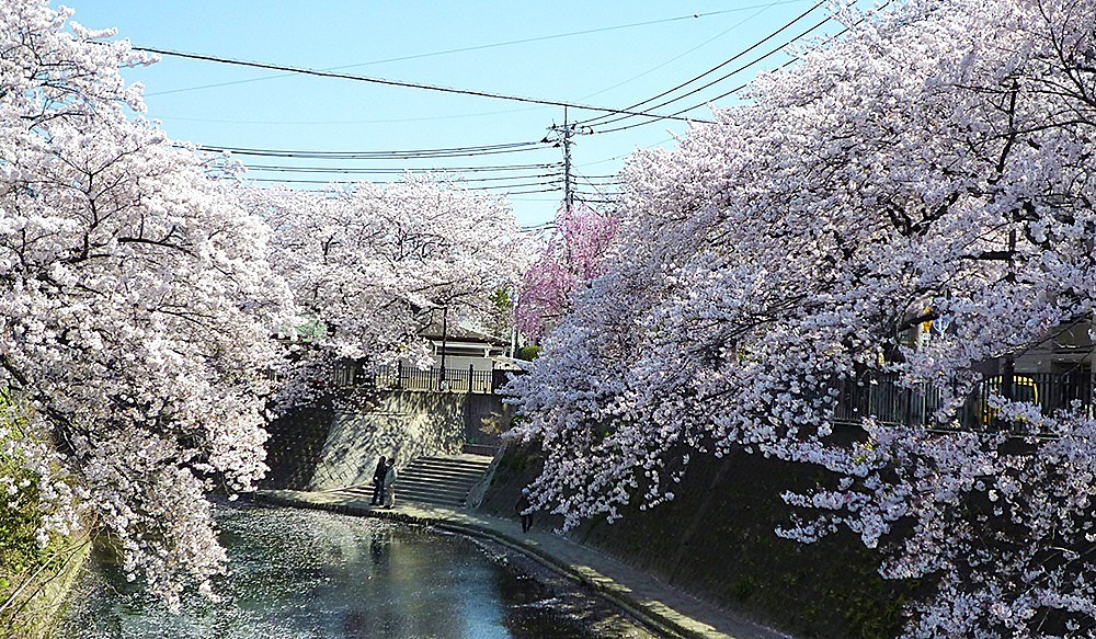 ナイスエスアリーナ弘明寺 その他