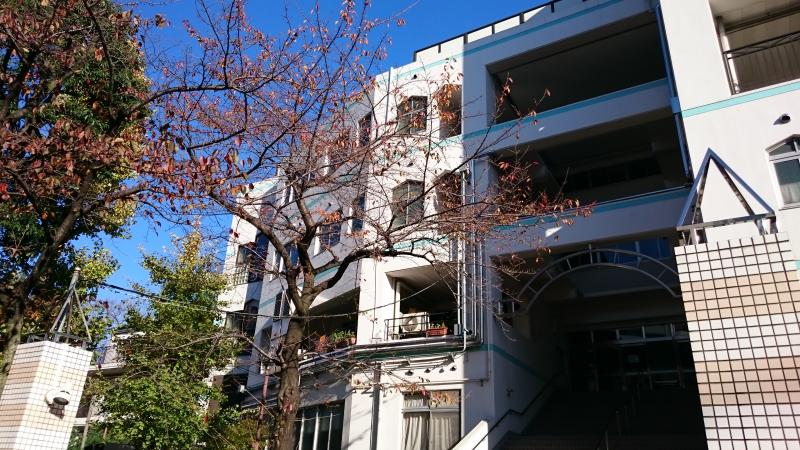 日神パレステージ信濃町 小学校