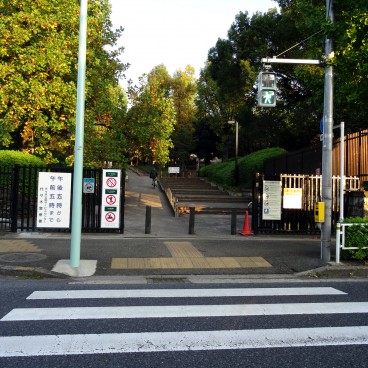 代々木公園パーク・ホームズ 公園