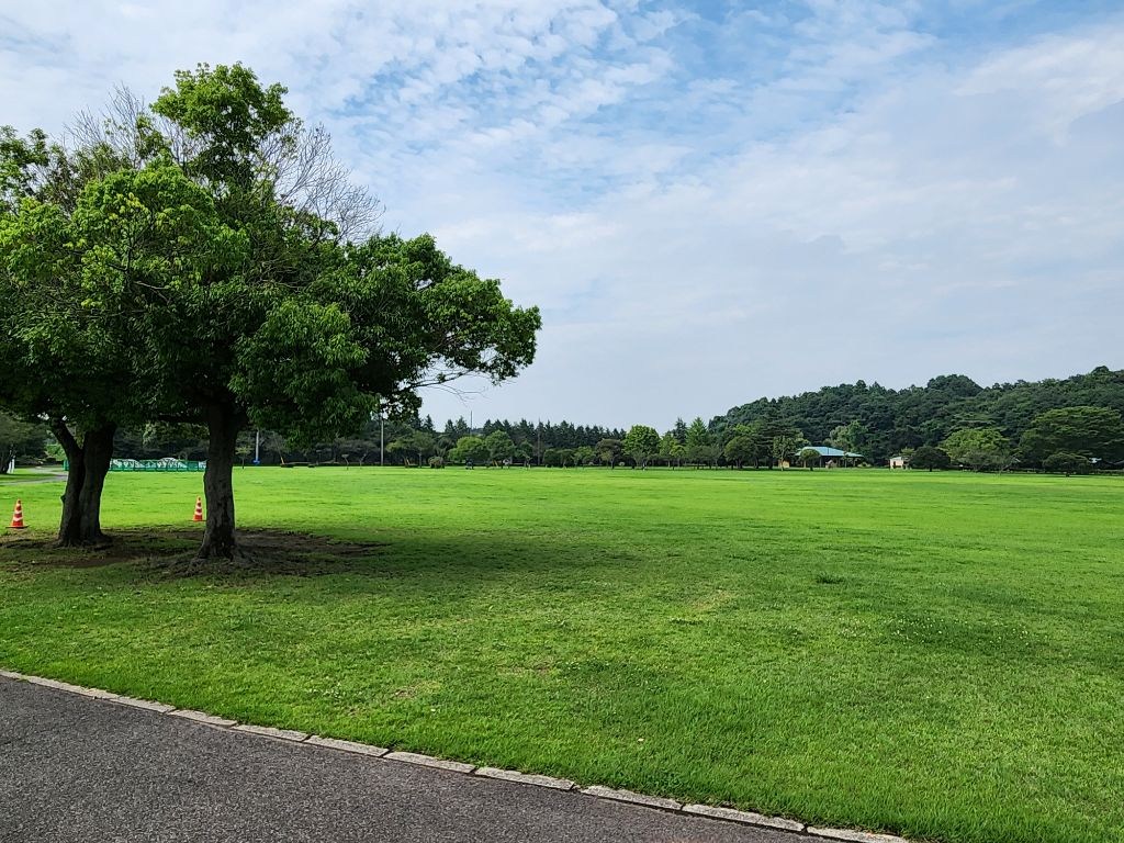 東久留米市小山4丁目　中古戸建 公園