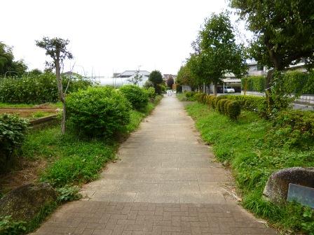世田谷区喜多見１丁目　新築戸建　1号棟 公園