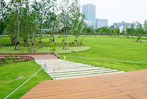 ベイクレストタワー 公園