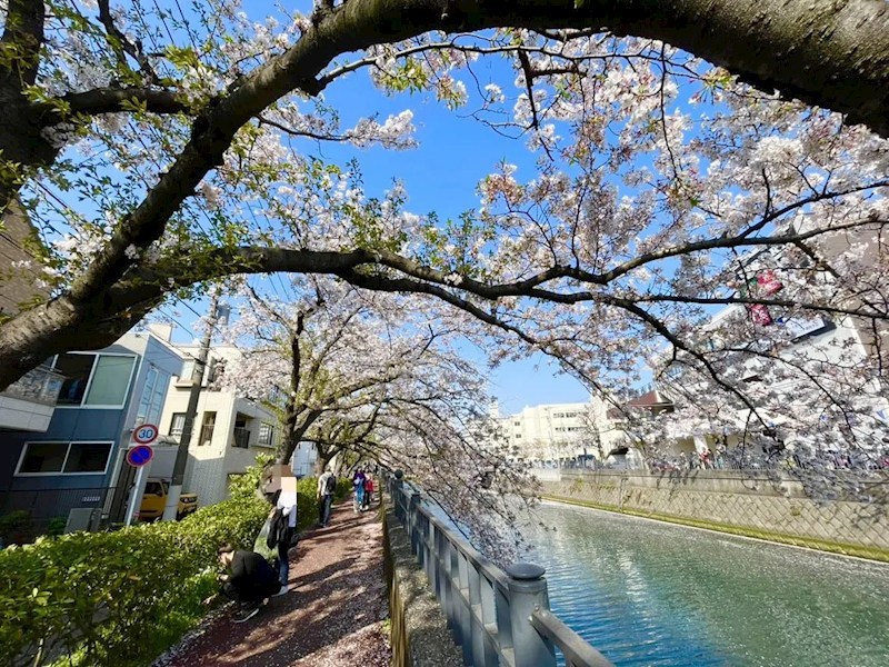 ルネサンス横浜阪東橋 その他