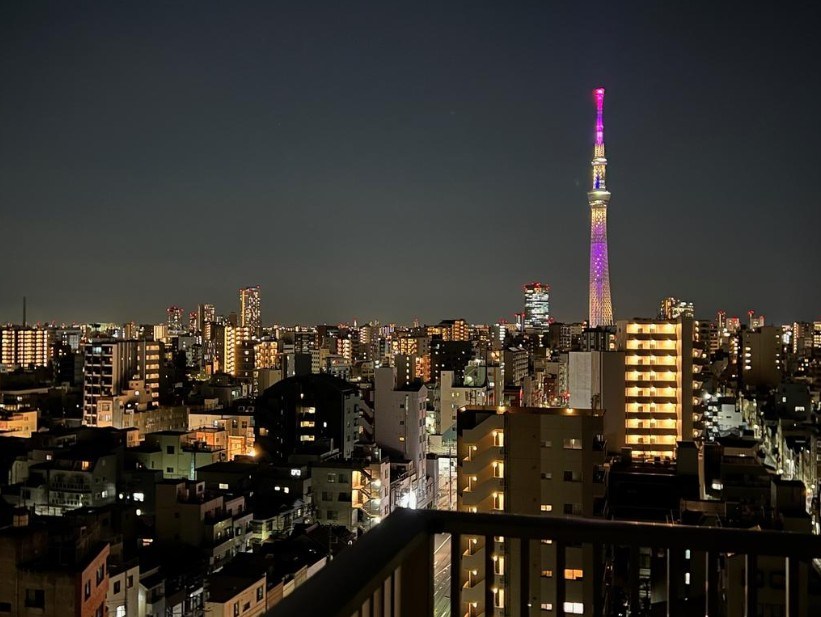 ライジングプレイス浅草弐番館 眺望写真