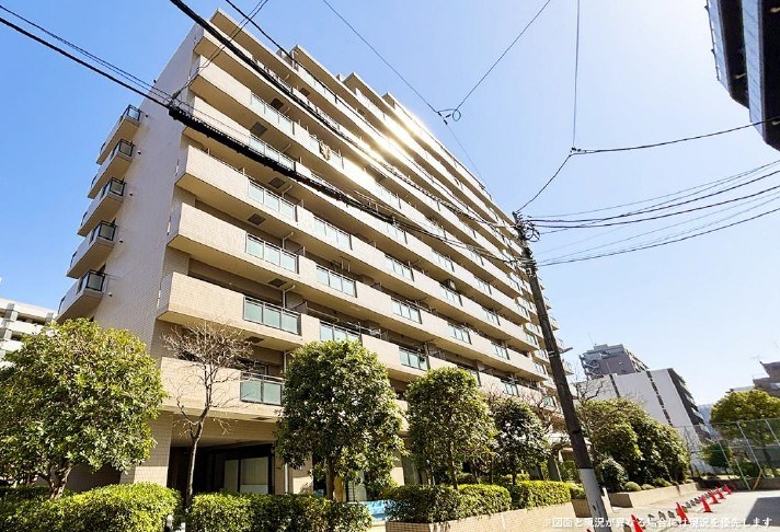 ライオンズガーデン錦糸町 現地写真
