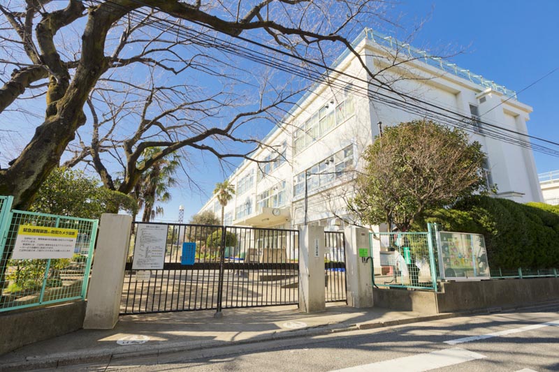 井草サマリヤマンション 小学校