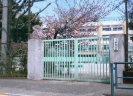 井草サマリヤマンション 中学校