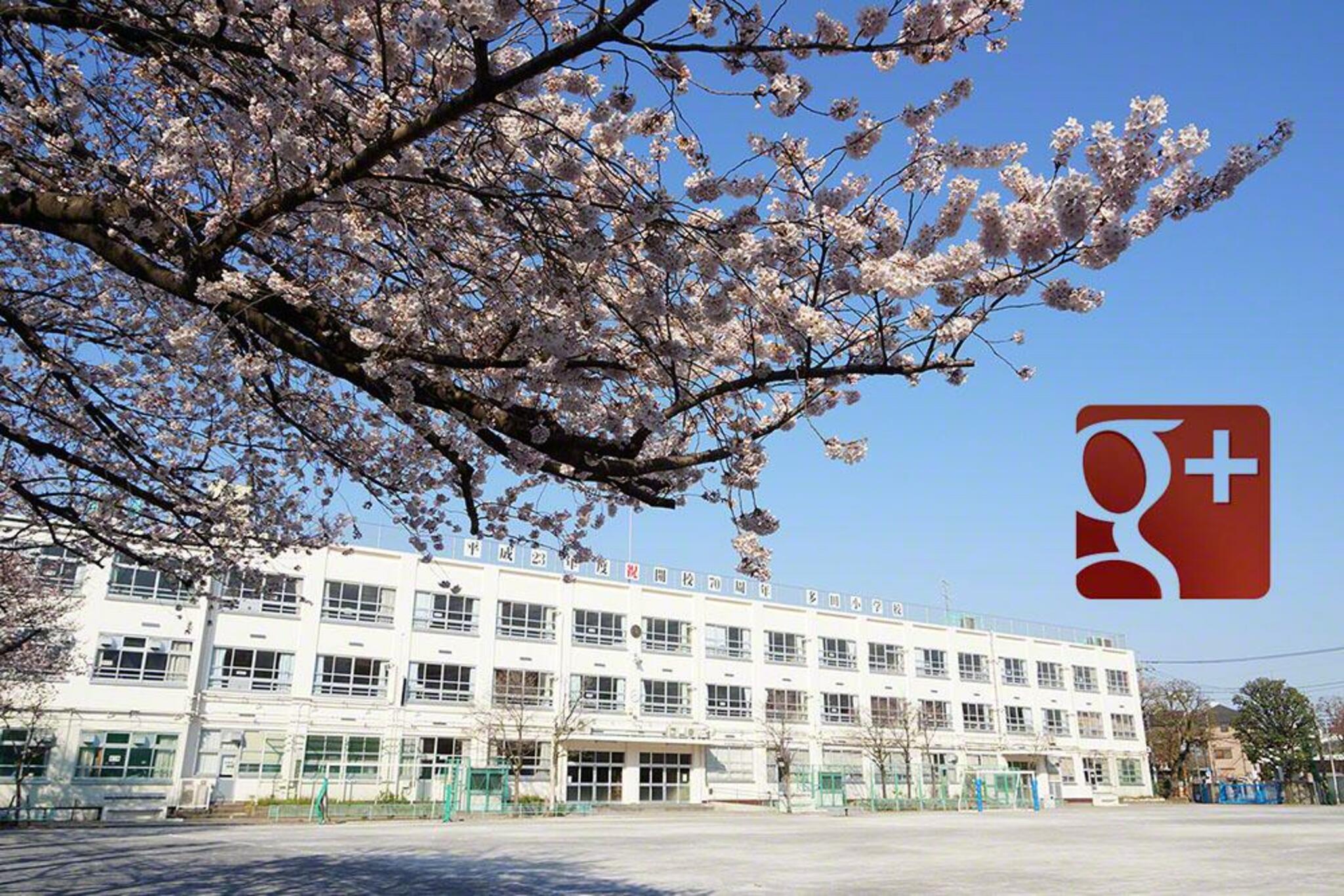 クリオ方南町壱番館 小学校