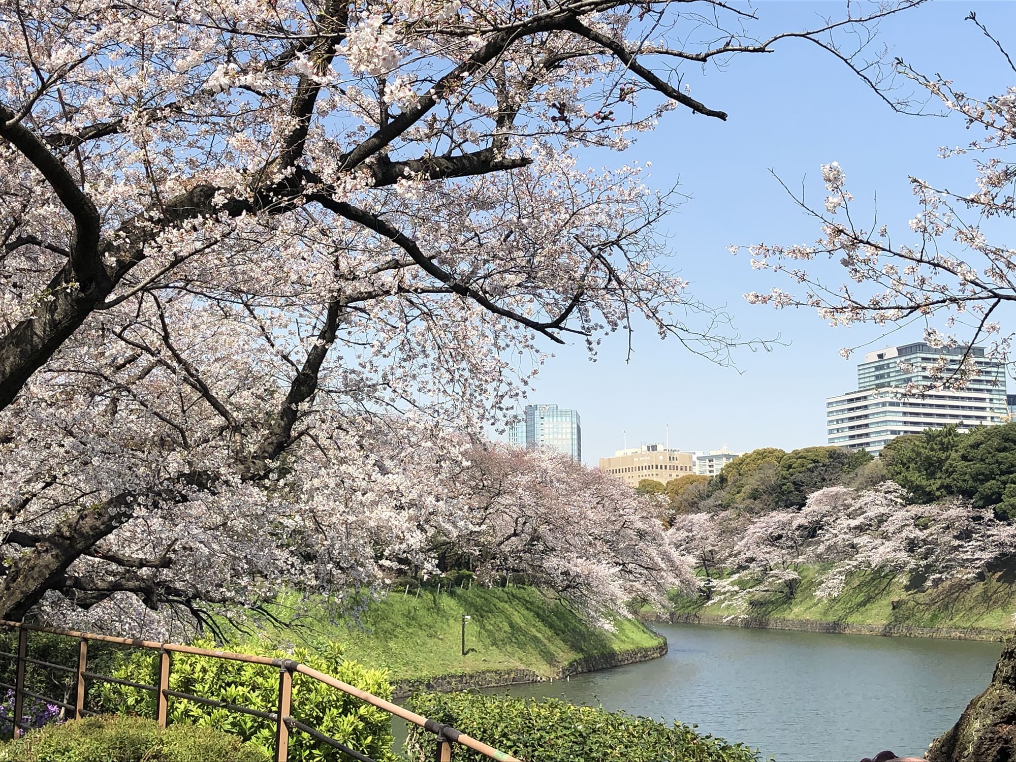 デュオ・スカーラ麹町 公園